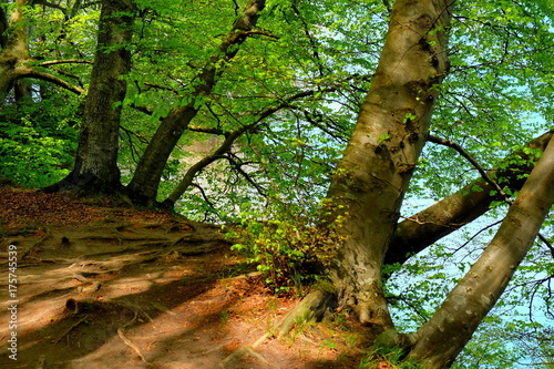 Nationalpark Jasmund