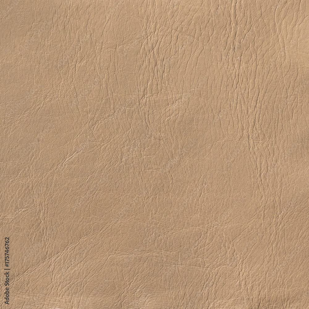 Leather texture background for fashion design
background. Leather texture background for fashion design
background.