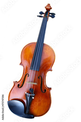 Single classical violin isolated on white background