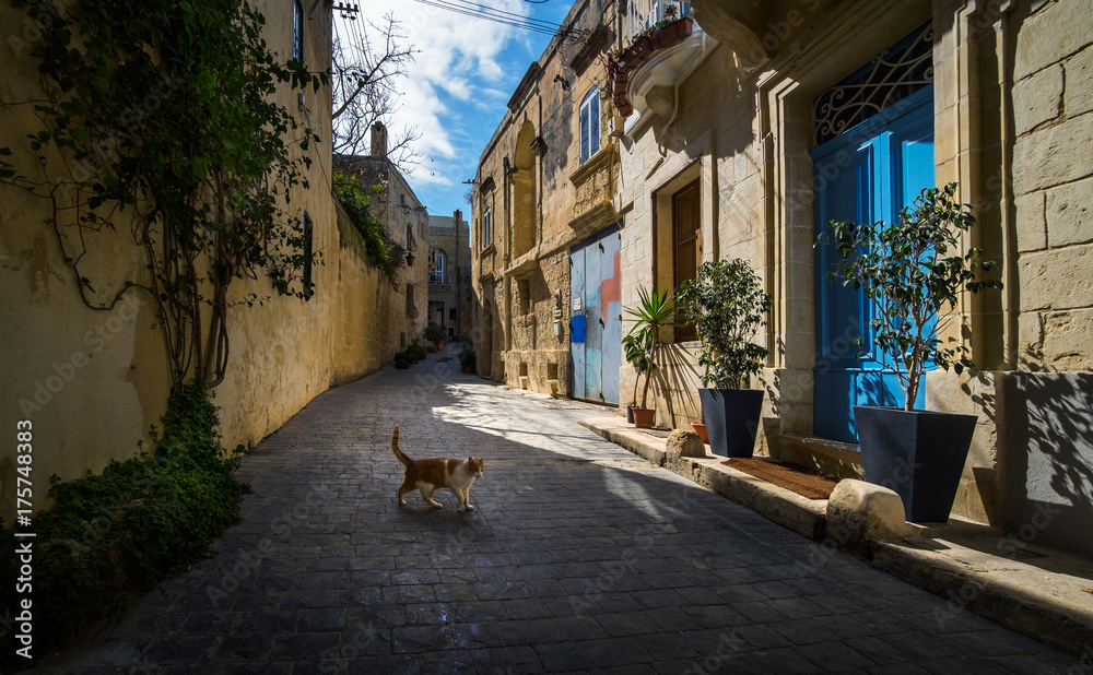 Life on the streets of Birgu. Valletta. Malta.