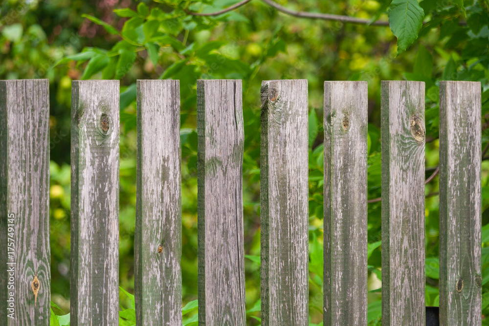 Fragment of a wooden fence a background of garden in bokeh Fragment of a wooden fence a background of garden in bokeh