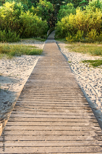 perspective of wooden path on a beach which leads to a forest. Baltic sea, Latvia.