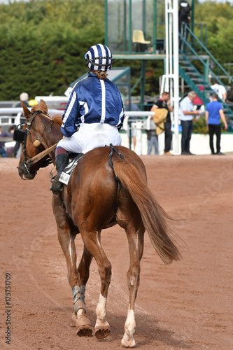 trot monté photo