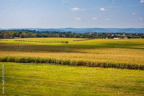 Gettysburg Autumn Fields photo