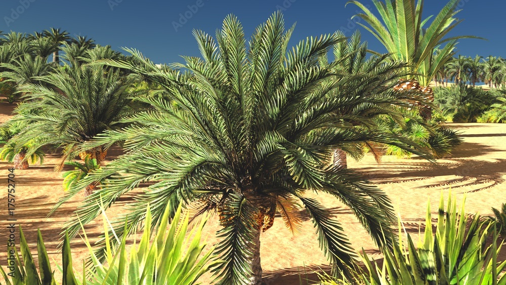 Obraz Piękny naturalny tło - Afrykański oazy 3d rendering