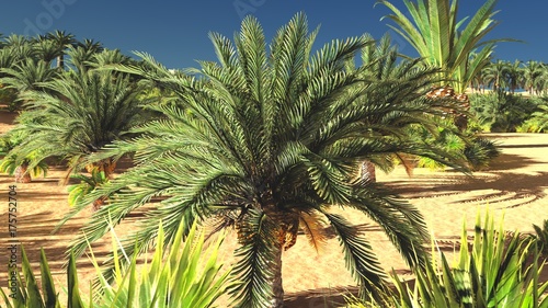 Obraz na płótnie Piękny naturalny tło - Afrykański oazy 3d rendering