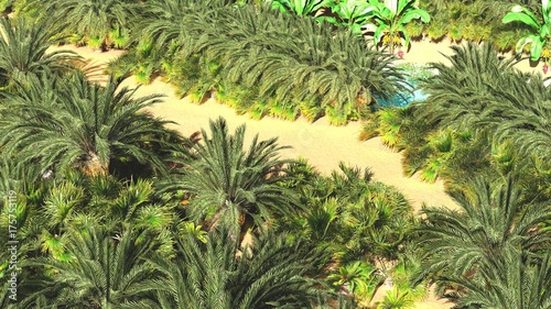 Fototapeta Naklejka Na Ścianę i Meble -  Beautiful natural background -African oasis 3d rendering