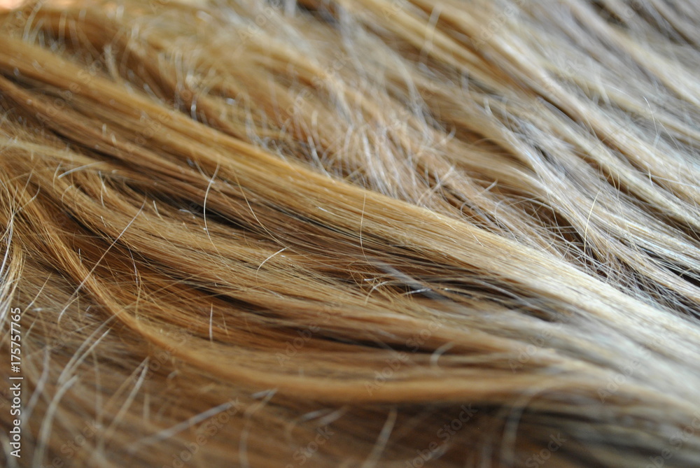 Obraz premium Długie włosy blond