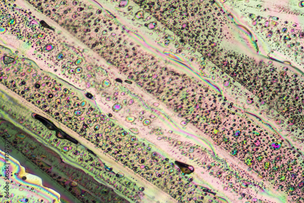 Fotografie colorful Sodium acetate micro crystals