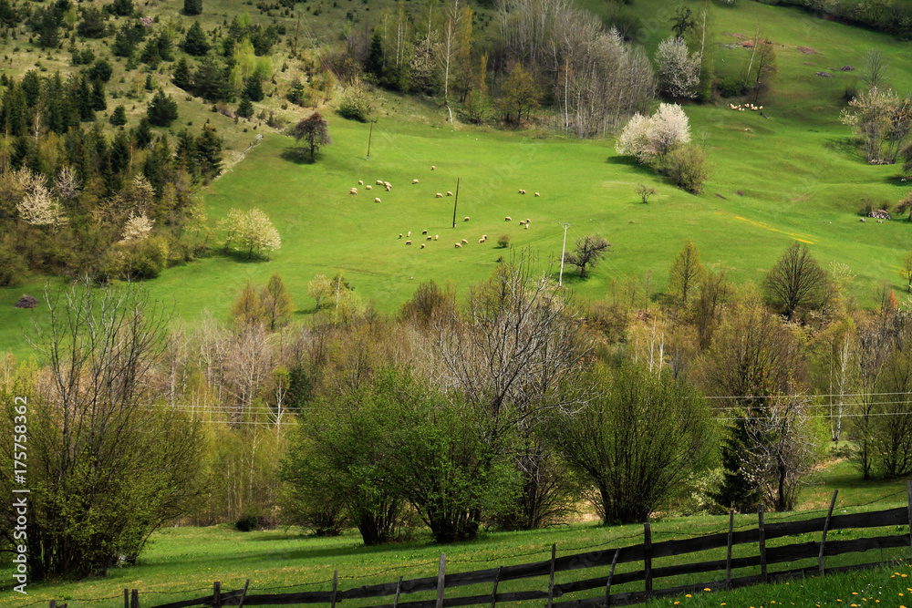 Φωτογραφία Green spring landscape on mountain near Sarajevo , Bosnia and Herzegovina