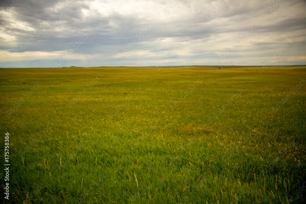 A photo of a cloudy summer afternoon sky over a green prairie in Nebraska, USA