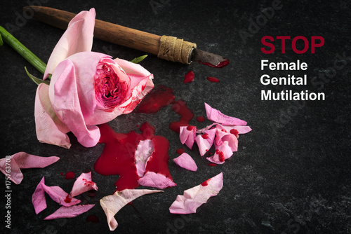 Stop female genital mutilation, cut rose blossom, blood and knife on a dark stone background with text, concept zero tolerance for FGM