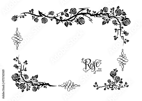 Rose floral frame