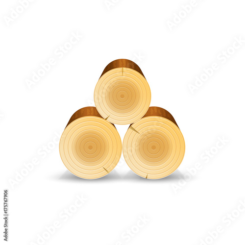Vector logs of fire wood
