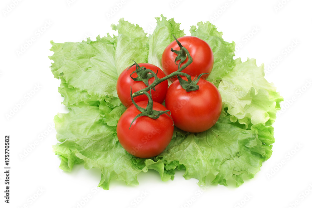 Tomato and lettuce salad isolated Tomato and lettuce salad isolated