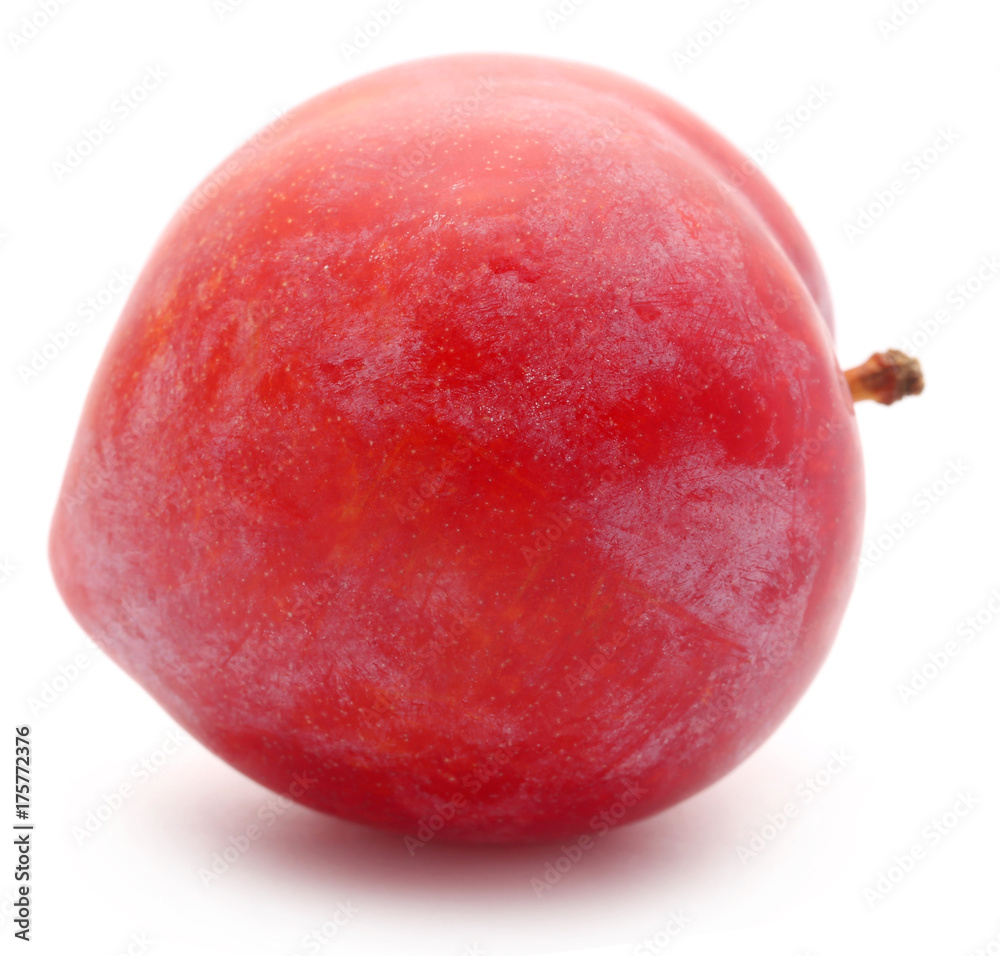 Single plum Single plum