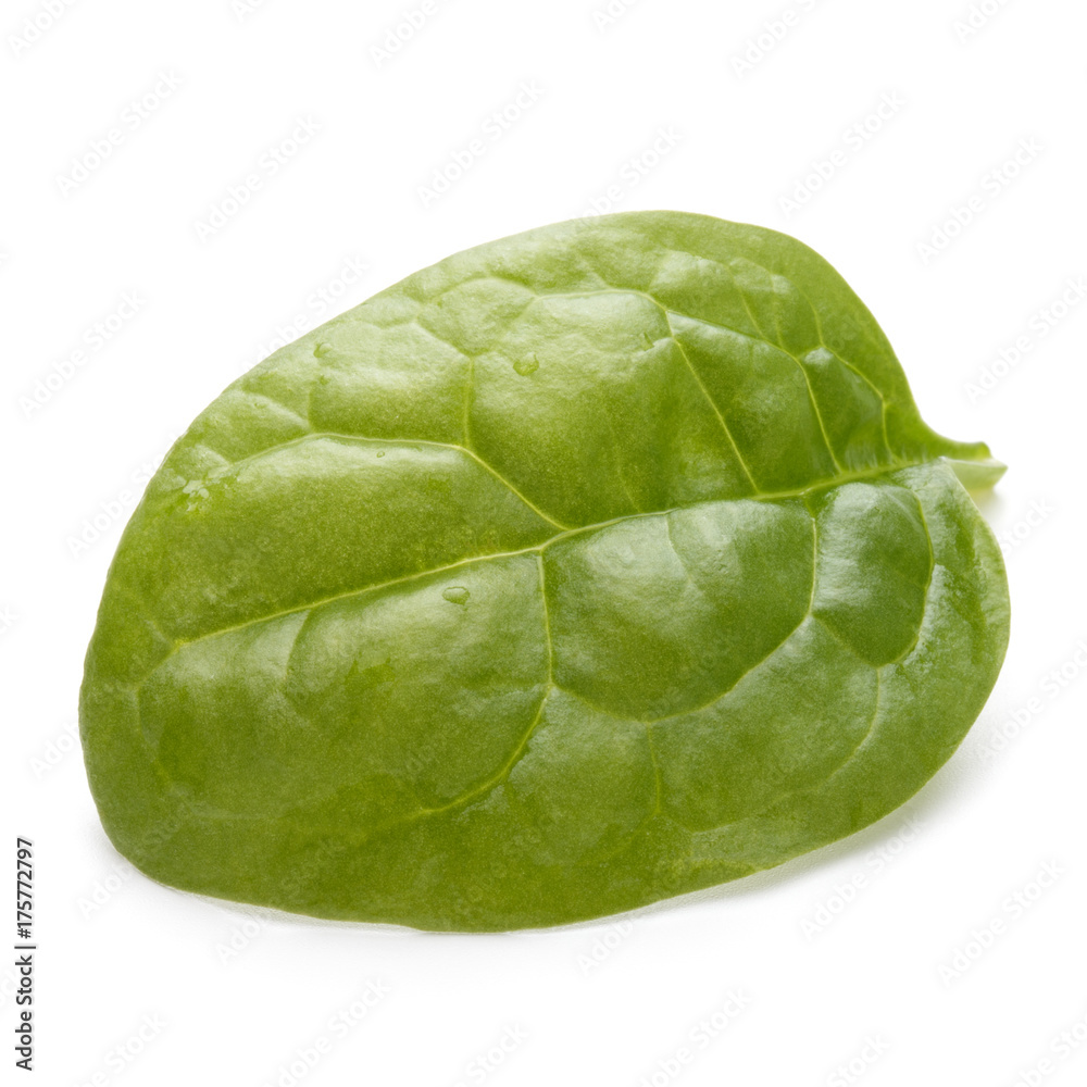 Obraz premium Baby spinach leaves isolated on white background cutout