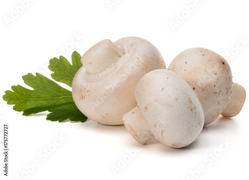 Champignon and parsley herb still life isolated on white background cutout