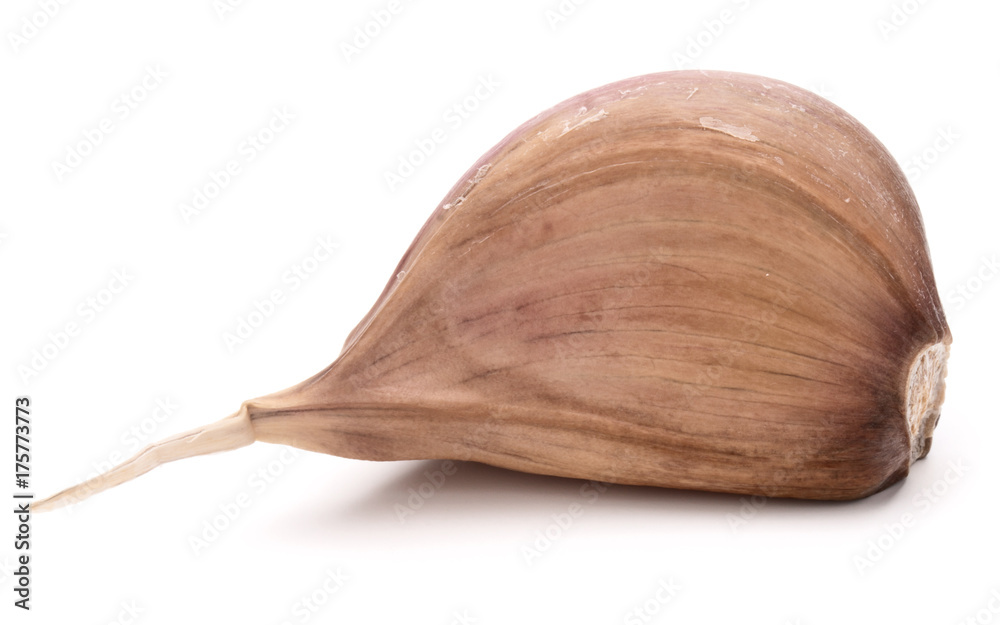 custom made wallpaper toronto digitalOne garlic clove isolated on white background cutout