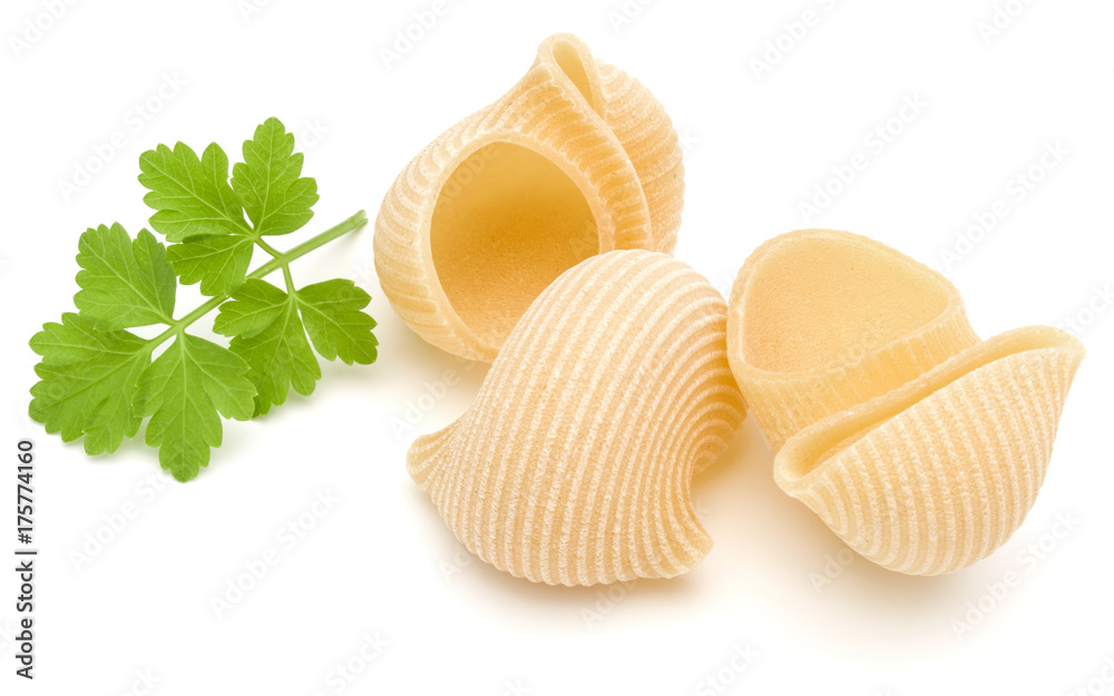 Italian lumaconi isolated on white background. Lumache, snailshell shaped pasta. Italian lumaconi isolated on white background. Lumache, snailshell shaped pasta.