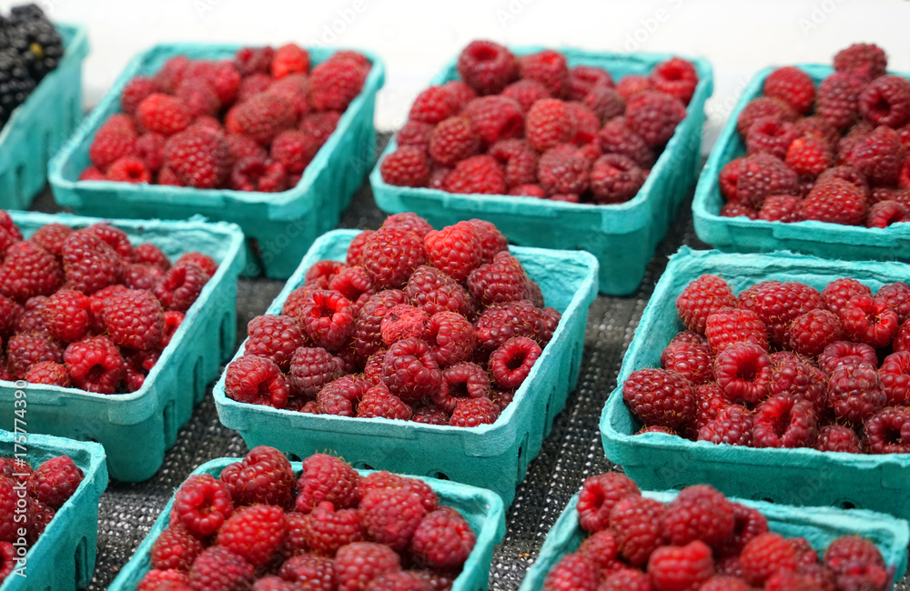 Fresh raspberry in the container boxes Fresh raspberry in the container boxes