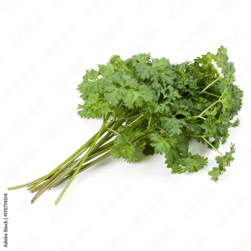 parsley leaves bunch isolated on white background cutout