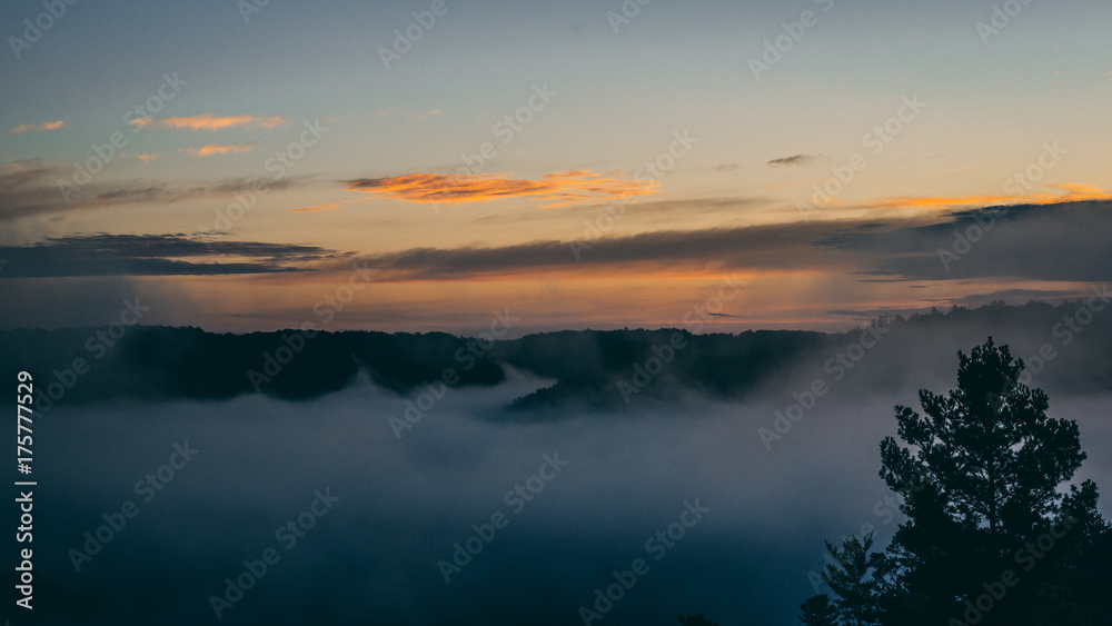 Fototapeta premium foggy sunrise 