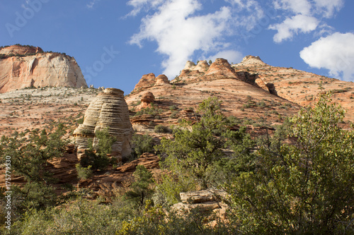 Canyon Overlook Trail