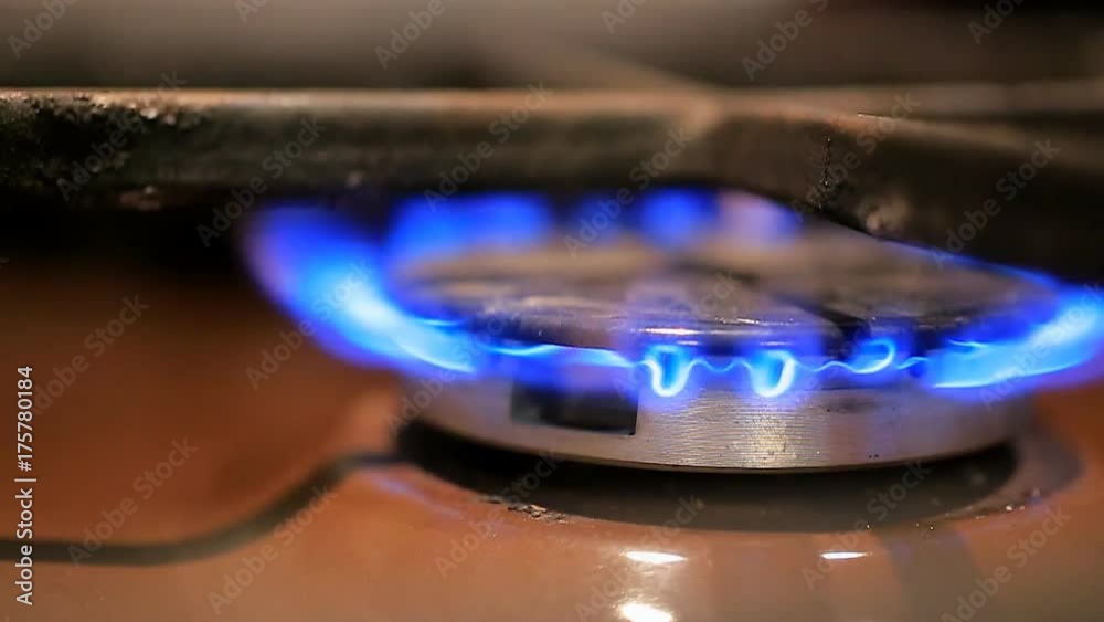 Gas burners, the inclusion and combustion of gas Gas burners, the inclusion and combustion of gas