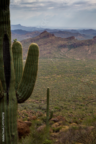 Wave Cave in The Superstition Mountains.