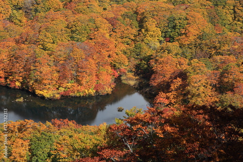 紅葉の鶴間池 Tsuruma pond in autumn / Mt.Chokai, Yamagata, Japan