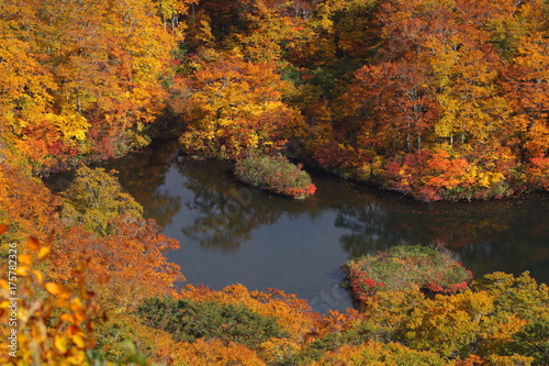 紅葉の鶴間池 Tsuruma pond in autumn / Mt.Chokai, Yamagata, Japan