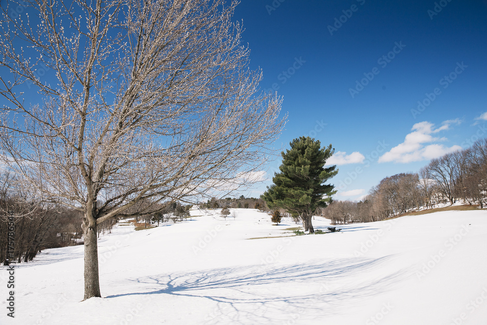 snow-covered park on a sunny day. golf fields under the snow. Copy space for your text