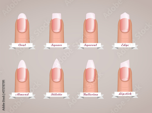 Professional manicure different shapes of nails vector photo