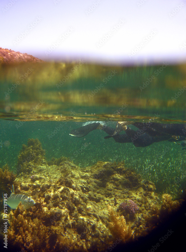 Fototapeta premium snorkelling