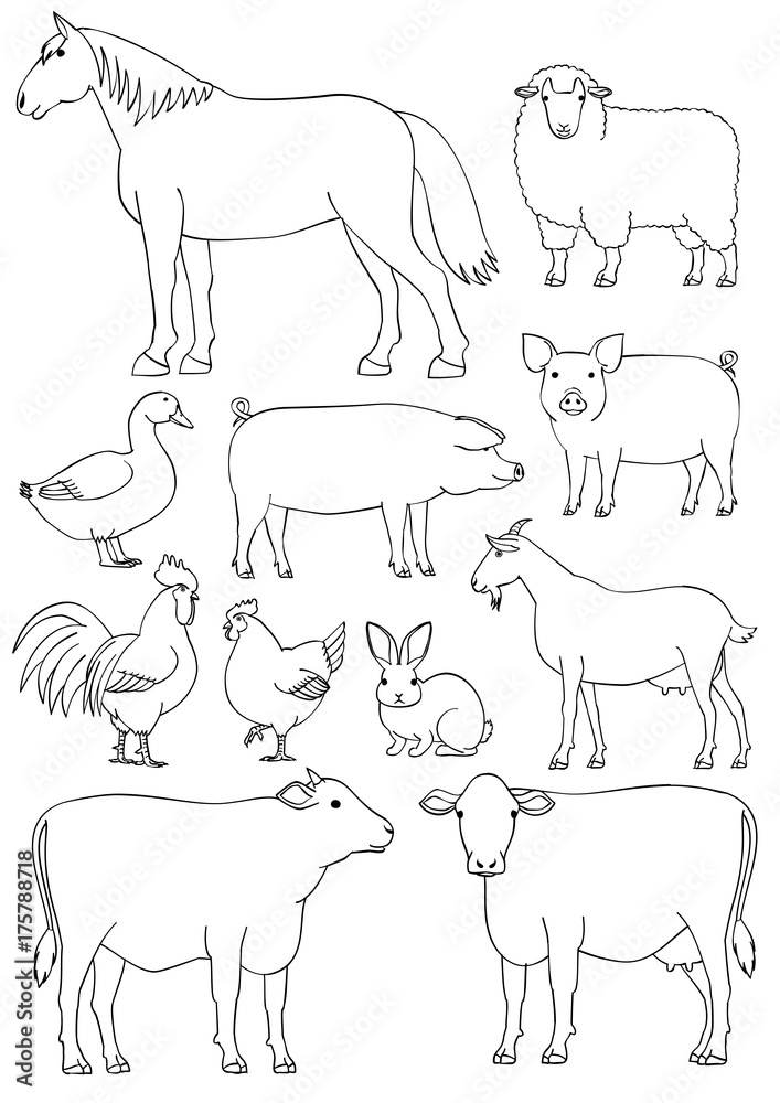 Farm animals line art set Farm animals line art set