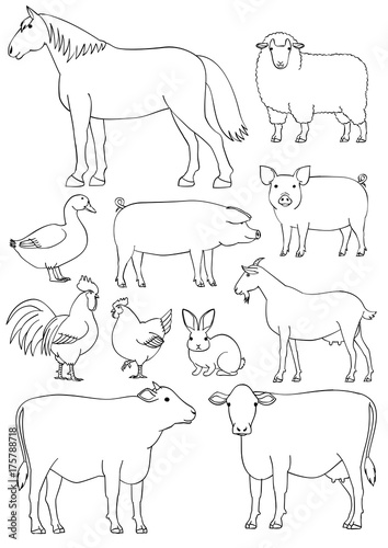 Farm animals line art set