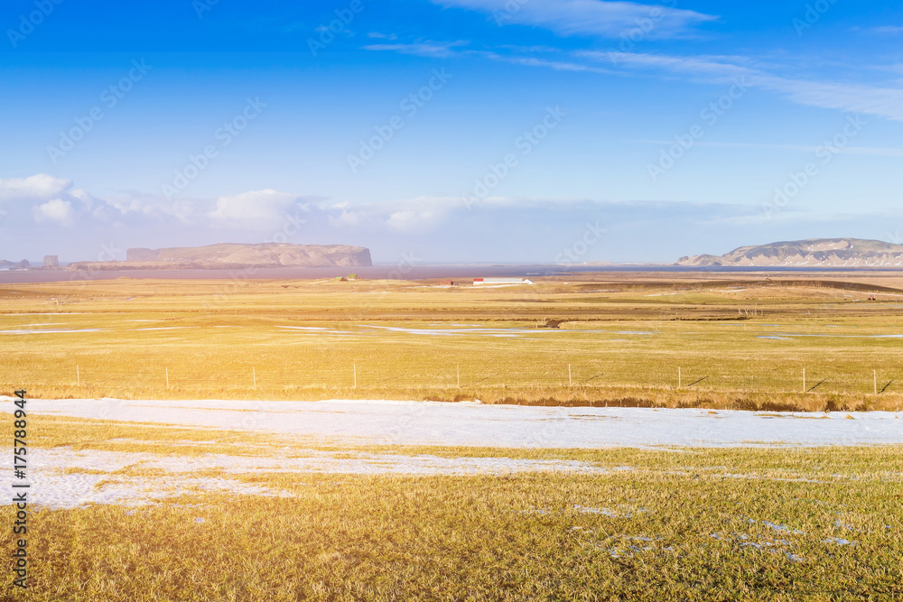 Dry green glass natural landscape skyline, Iceland winter season background