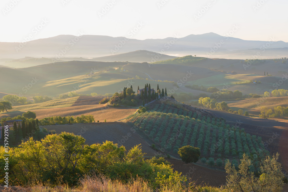 September rush in Tuscany. Italy