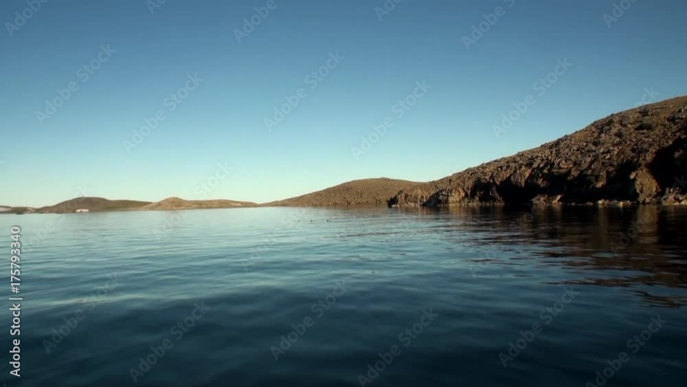 Coast and water surface of Arctic Ocean on New Earth Vaigach Island. Beautiful landscape of wild nature. Quiet and calm ecotourism in Russia. Panorama of way to cold wilderness. Coast and water surface of Arctic Ocean on New Earth Vaigach Island. Beautiful landscape of wild nature. Quiet and calm ecotourism in Russia. Panorama of way to cold wilderness.
