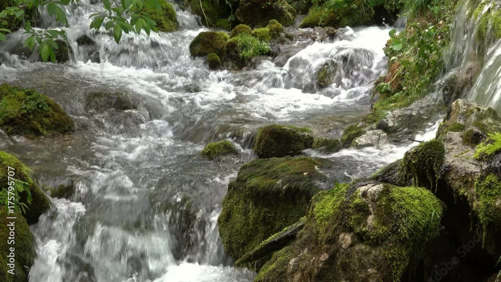Stream and mossy ctones in spring forest, 4k
