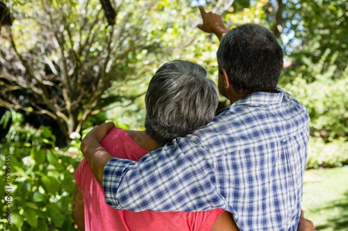 Rear view of senior couple pointing at view