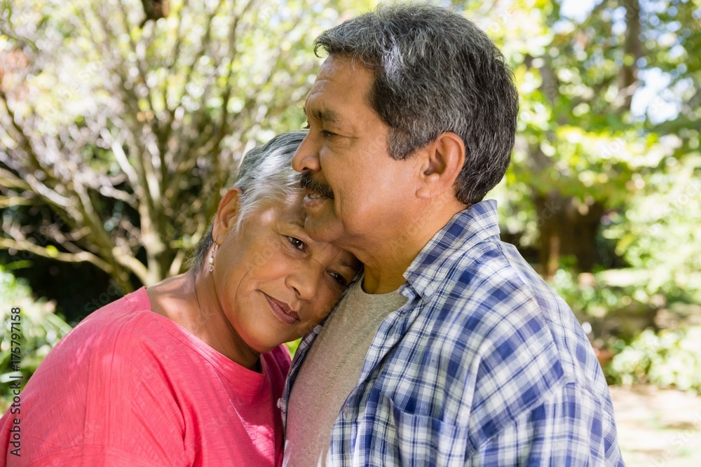 Senior couple embracing each other in garden