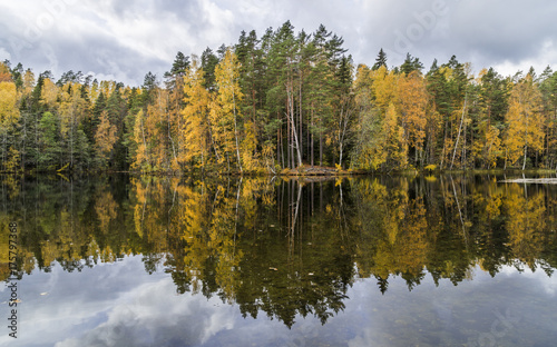 Beautiful fall landscape next to calm lake