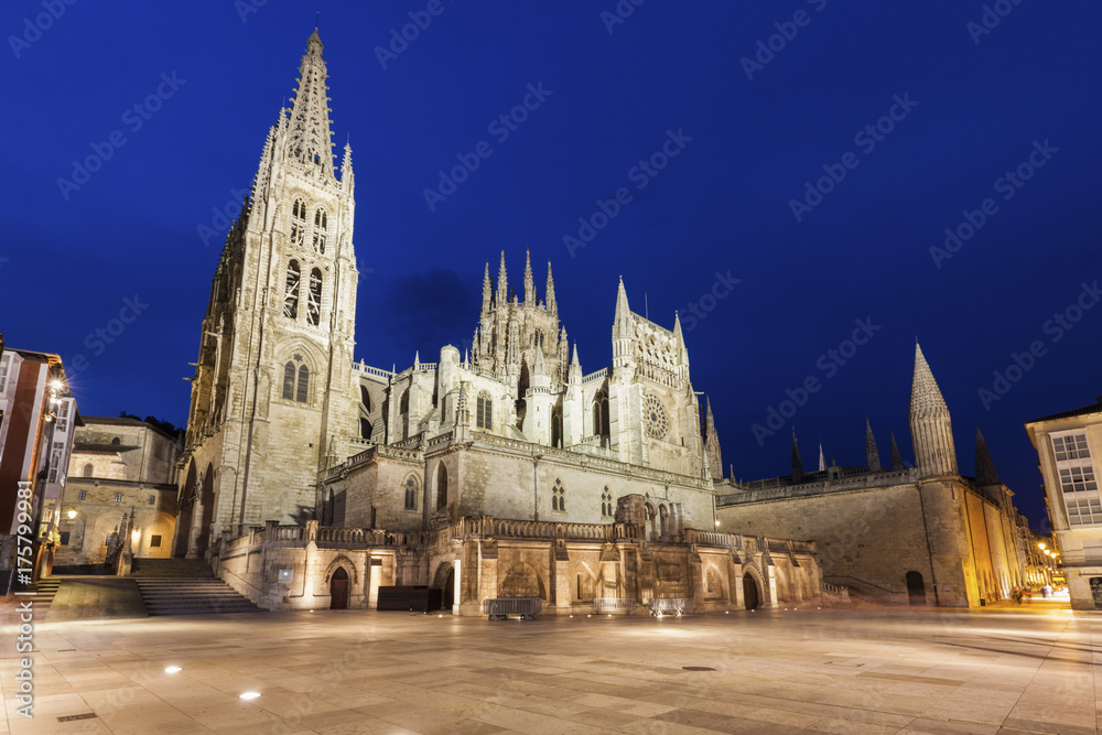 Burgos Cathedral  