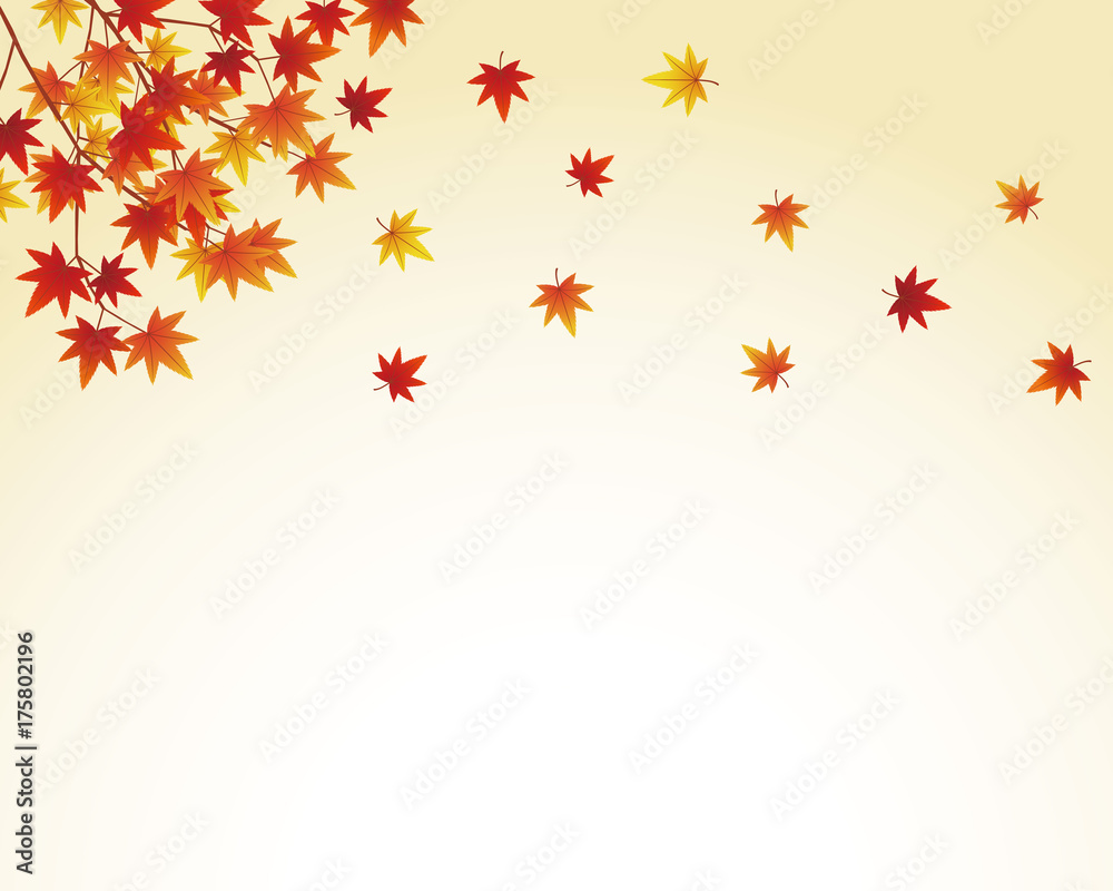 紅葉 秋 紅葉 秋