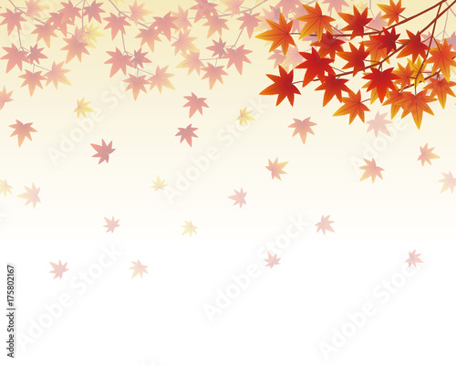 Wallpaper Mural 紅葉 秋 Torontodigital.ca