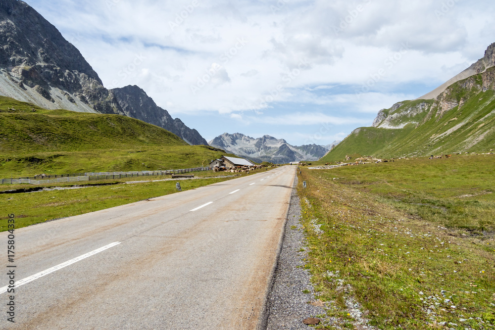 Fototapeta premium Schweiz - Albula