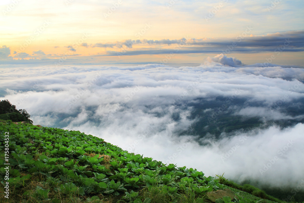 beautiful bright sun and fog cloud view mountain landscape natural outdoor background