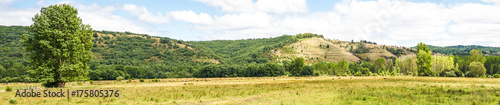  Panorama de Paisaje de Pradera y Colinas con manada de vacas pastando photo